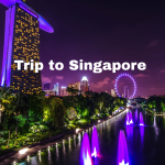 Why Singapore Is the Ultimate Destination for Food, Culture, and Adventure?