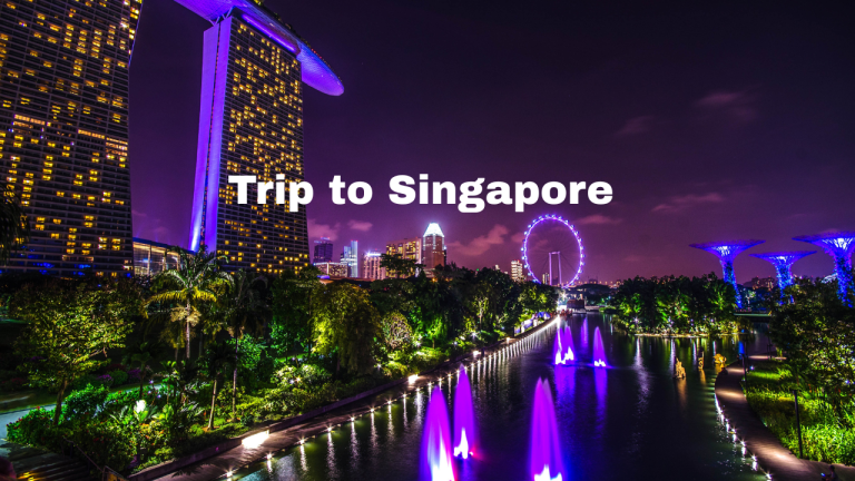 Travel to Singapore with Navoy