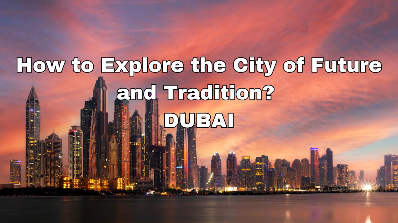 How to explore Dubai with Navoy?