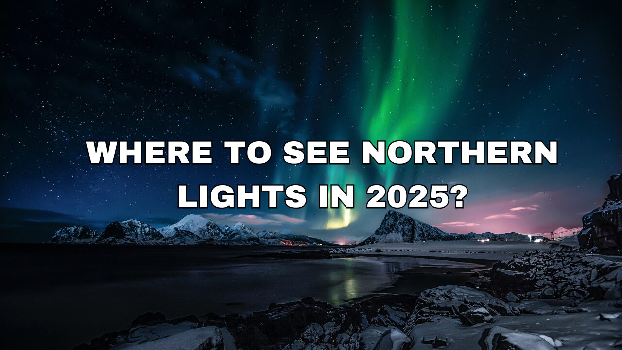 NORTHERN LIGHTS with Navoy